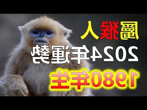 1980年出生的屬猴人的 一生
